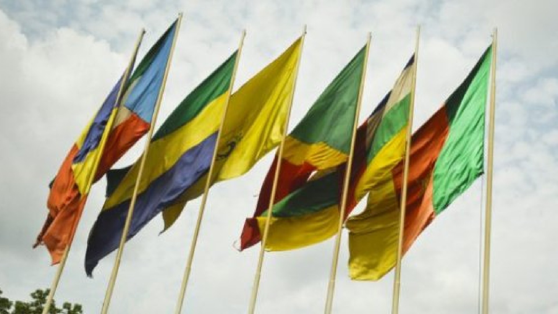 Le Conseil Rayon International sensibilise les médias dans le but de montrer à la jeunesse camerounaise qu’il n’est plus obligé de passer par une école de diplomatie pour être diplomate