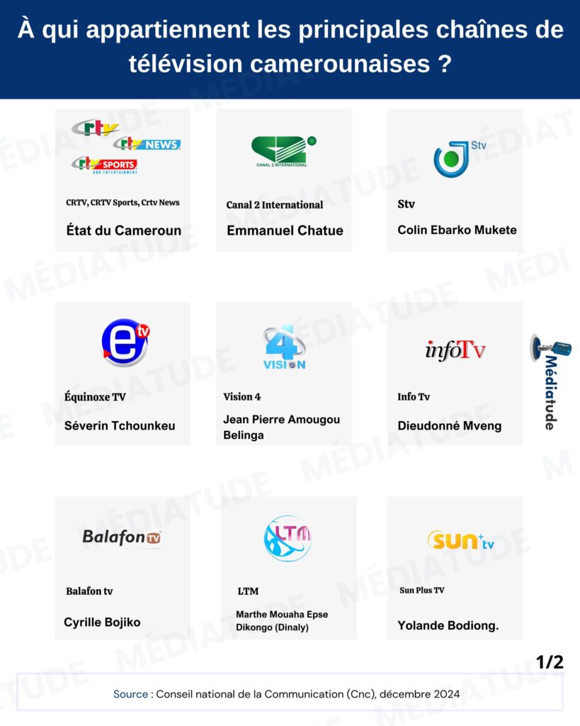 Infographie : À qui appartiennent les principales chaînes de télévision camerounaises ?